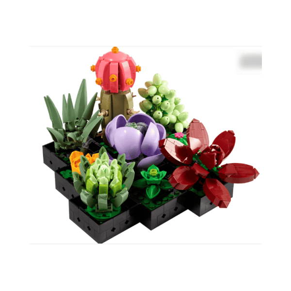 Succulents TO400207010