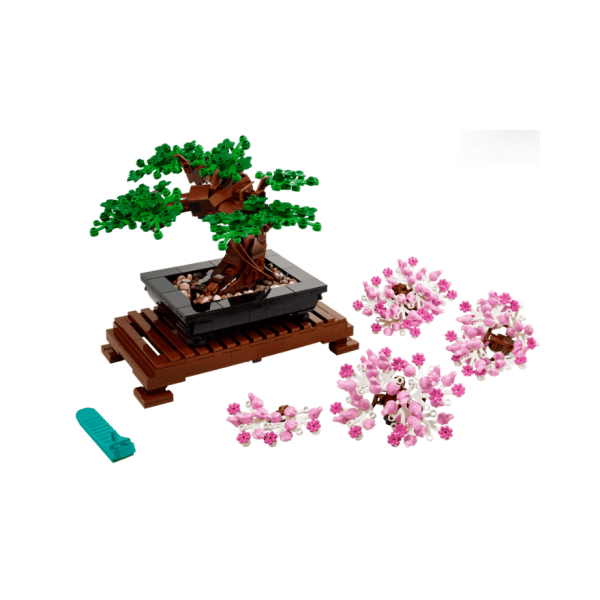 Bonsai Tree TO520203029